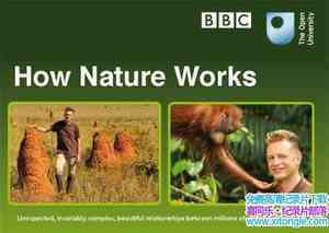 BBC¼ƬȻ/Ȼ How Nature Worksȫ4-