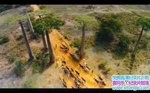 IMAX¼Ƭ˹ӣ֮ Island of Lemurs: MadagascarӢ˫-