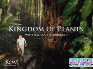 BBC¼Ƭֲ Kingdom of Plantsȫ-