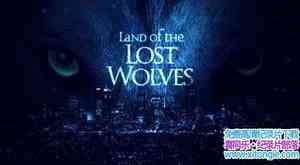 BBC¼ƬȺʧ֮ Land of the Lost Wolvesȫ2-