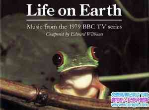 BBC¼ƬĽ Life On Earthȫ13-