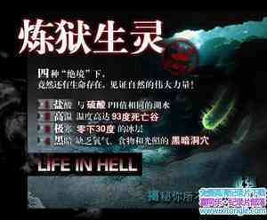 BBC¼Ƭ/е Life in Hell Extremophileȫļ-