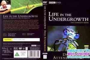 BBC¼Ƭµ Life in the Undergrowthȫ5-