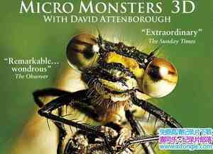 BBC¼ƬǱ΢֮ Micro Monstersȫ6-