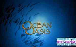 IMAX¼Ƭ Ocean OasisӢ-