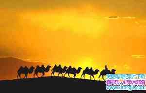 NHK¼Ƭ˿֮·ϵSilk Road һ1980-