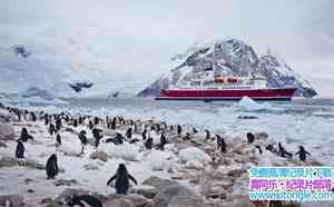 ϵ֮һϼ Tears of the Antarctic-