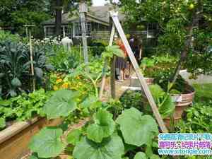 BTV/BBC¼ƬʳĻ԰ The Edible Gardenȫ3 Ӣ 720P ʳļ¼Ƭٶ