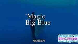 ̽Ƶε The Magic Of The Big Blueȫ7-