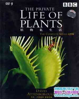 BBC¼Ƭֲ˽ The Private Life of Plantsȫ6 Ӣ  ֲ¼Ƭظٶ