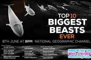 ҵƵʮа Top 10 Biggest Beasts Everȫ-