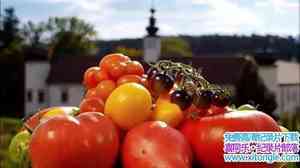 Ӽ¼Ƭѵʤ Triumph of the Tomato-