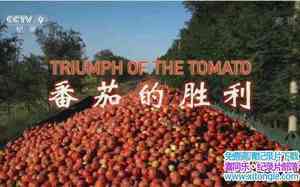 Ӽ¼Ƭѵʤ Triumph of the Tomato-