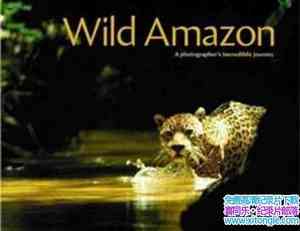 ҵƵҰѷ Wild Amazonȫ2-