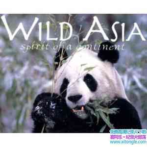 NHNZ¼ƬҰ Wild Asiaȫ9-