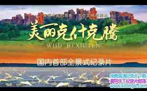 Ȼ̬¼Ƭʲ Wild Hexigtenȫ5-