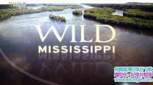 ҵҰ Wild Mississippiȫ3-