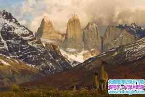 BBC¼ƬҰ԰ Wild Patagoniaȫ-