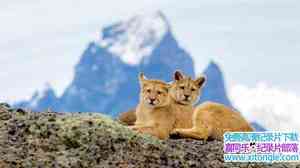 BBC¼ƬҰ԰ Wild Patagoniaȫ-