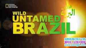 ҵҰ Wild Untamed Brazilȫ5-