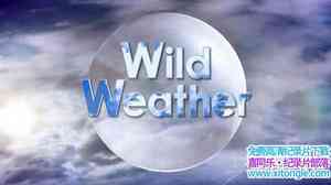 BBC¼Ƭз/ Wild Weatherȫ3-