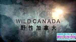 CBC¼ƬҰԼô Wild Canadaȫ5-