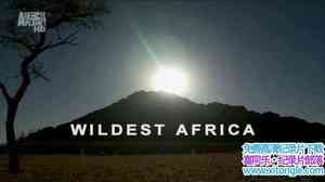 򡶷Ұ/Ұ/ҰԷ Wildest Africaȫ13-