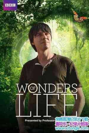 BBC¼Ƭ漣 Wonders of Lifeȫ5-