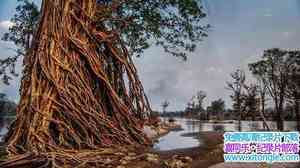 BBC¼Ƭ漣/ļ Wonders Of The Monsoonȫ5-