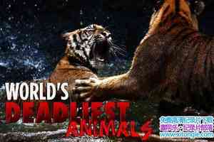 ҵȫϵ Worlds Deadliest Animalsȫ8-