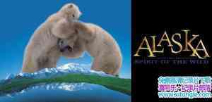 IMAX¼Ƭ˹ӣҰľ Alaska: Spirit of the WildӢ-