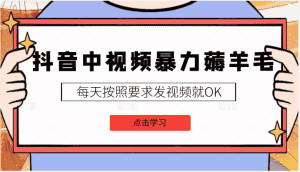 【中视频计划视频课程】最新中视频暴力薅羊毛白嫖蓝海项目，3天新号每天也有几十块收益，可批量