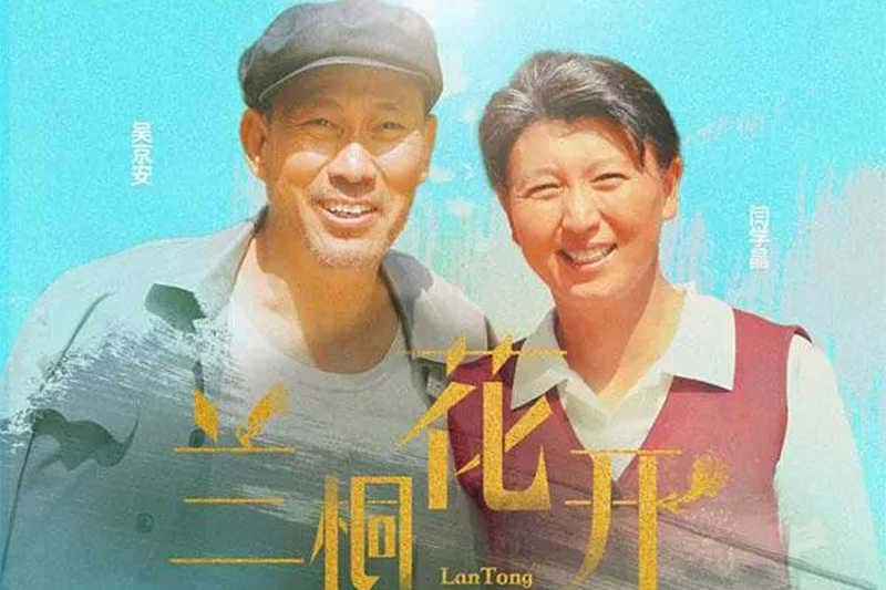 电视剧《兰桐花开》42集电视剧解说文案-附解说素材