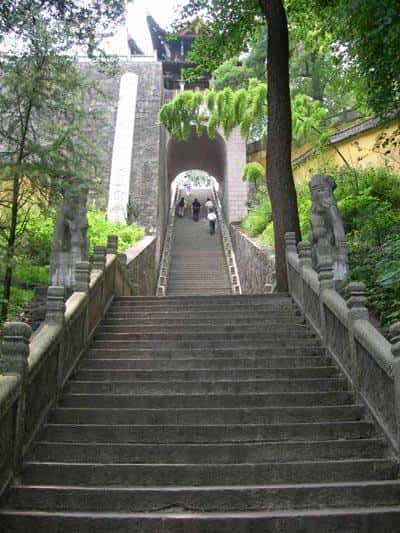 《走近科学：九华山肉身真佛传奇》-科技自媒体解说词下载