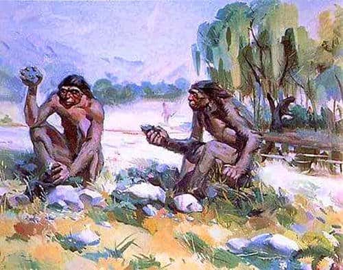 解说世界之最《运今发现的最早人种》-科普解密自媒体原创解说词下载