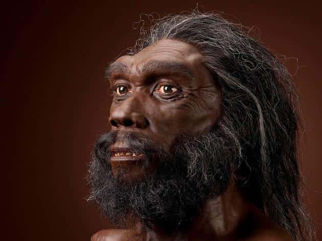 解说世界之最《最早的人类祖先》-科普解密自媒体原创解说词下载