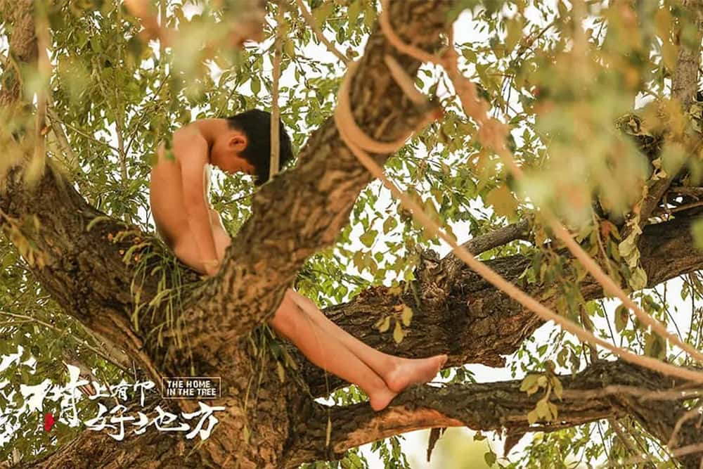 剧情电影《树上有个好地方》解说词[自媒体解说文案][附解说素材]