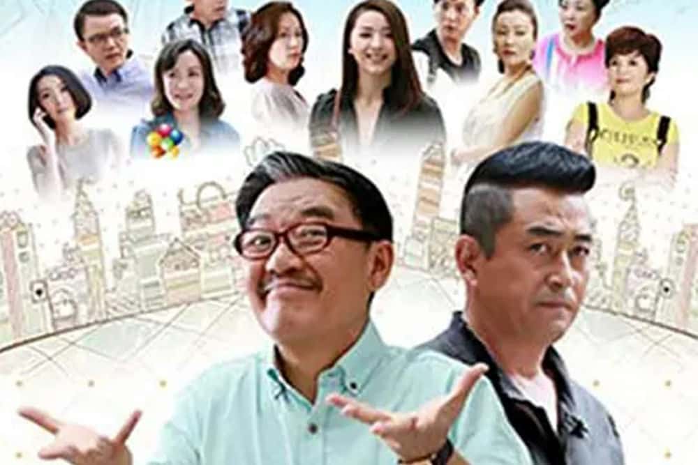 电视剧《田教授和贤教授》32集解说词[自媒体解说文案][附解说素材]