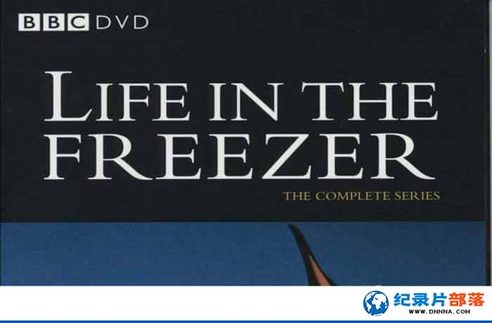 BBCϼȻ̬¼Ƭѩͯ Life In the Freezerȫ6-Ѹ