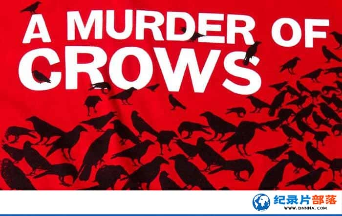 PBS¼Ƭѻ A Murder of Crowsȫ1-Ѹ