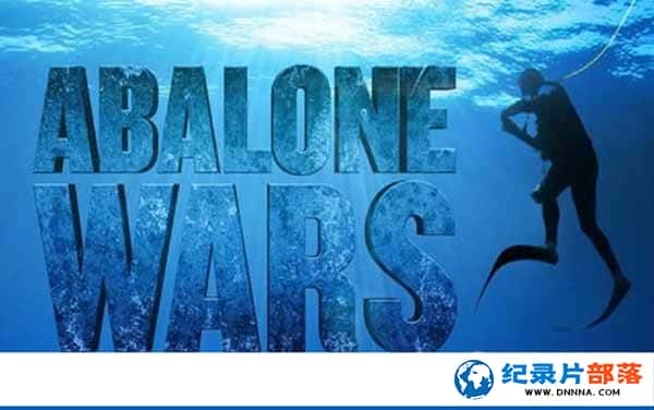 ̽Ƶ¼Ƭս Abalone Warsȫ12-Ѹ