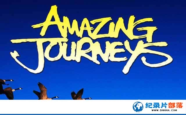 IMAXǨ¼Ƭ֮ Amazing Journeysȫ1-Ѹ