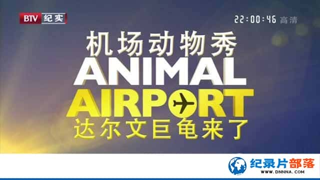 ˼¼Ƭ Animal Airportȫ12¼ƬԴٶ-Ѹ