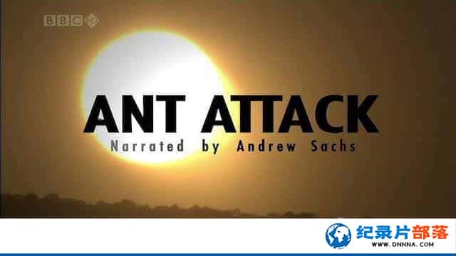 BBC纪录片《蚂蚁攻击 Ant Attack》全1集 -高清完整版网盘迅雷下载