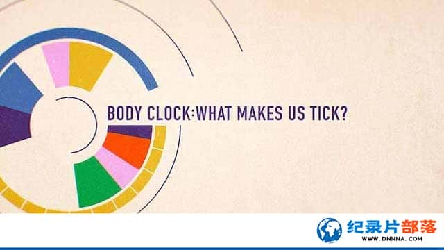 BBCؼ¼Ƭӣתİ Body Clock: What Makes Us Tickȫ1-Ѹ