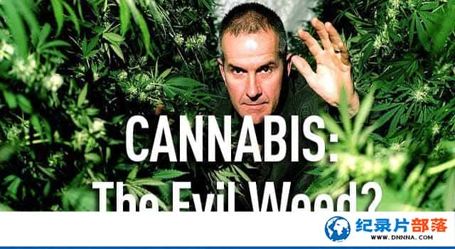 BBC¼Ƭ飺֮ Cannabis: The Evil Weedȫ1¼ƬԴٶ-Ѹ