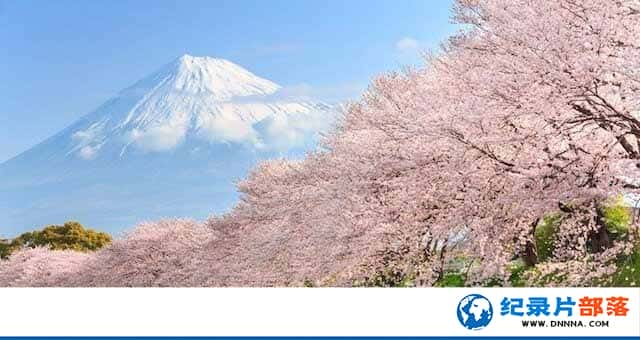 NHKַ¼Ƭӣӣ Cherry Blossoms Romance Spring In Japanȫ1¼ƬԴٶ-Ѹ