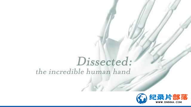 BBC纪录片《剖析手足：不可思议的人体 Dissected The Incredible Human》全2集 -高清完整版网盘迅雷下载
