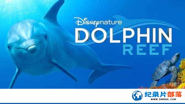 ʿȻ̬¼Ƭླྀ Dolphin Reefȫ1-Ѹ