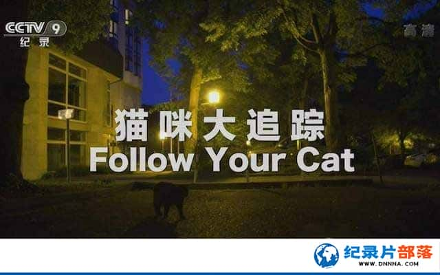 ȳ¼Ƭè׷ Follow Your Catȫ1-Ѹ